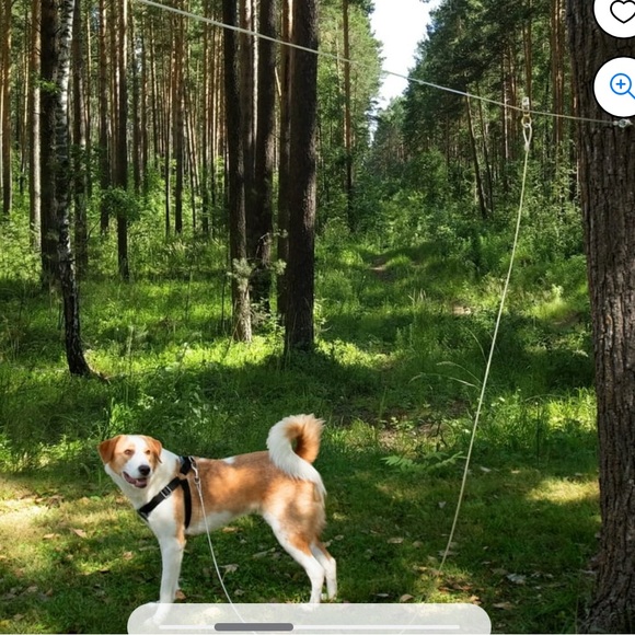 Vibrant life trolley cable - XL 🐾 - Picture 3 of 11